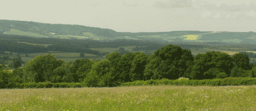 Looking towards the Downs from Tillington